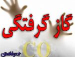 مرگ خاموش سه تن در فارس